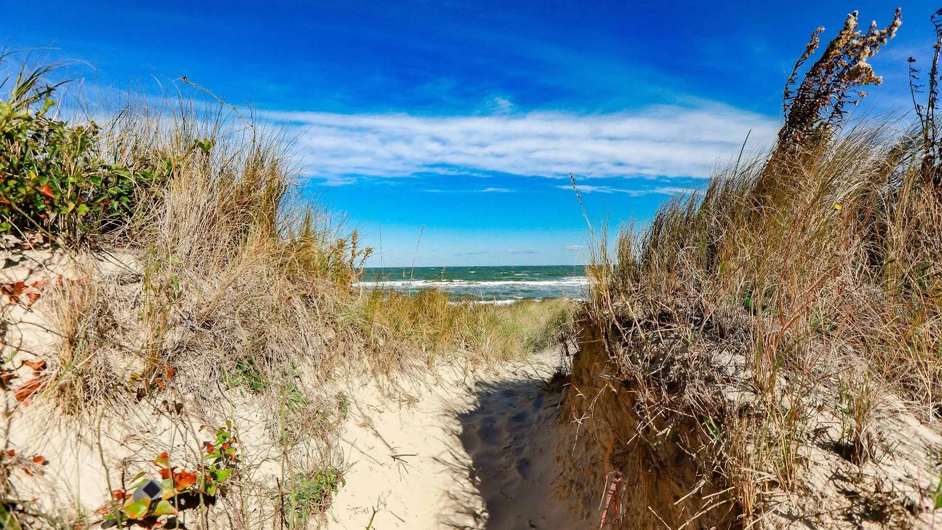 1866 Eov Dune Suite North Camellia Acres 0*,  United States